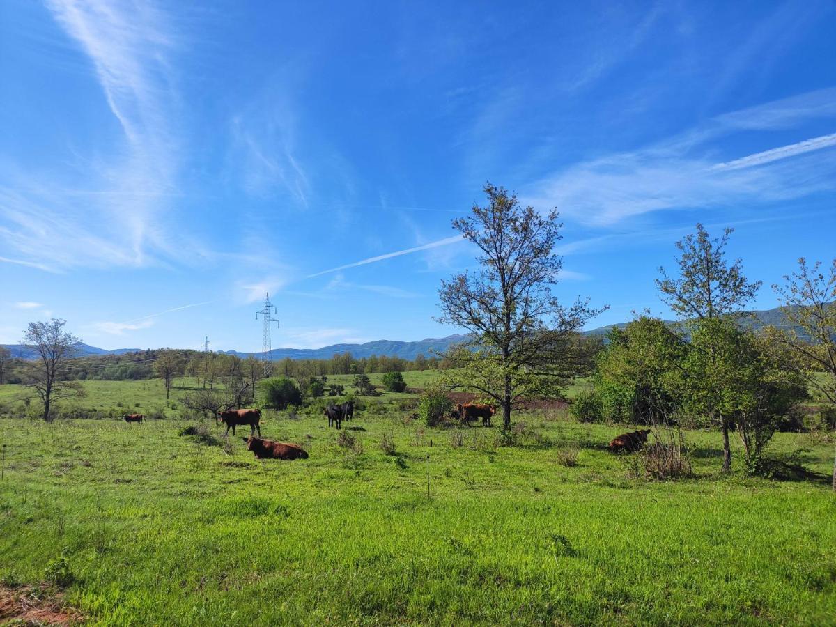 Velebit Lodge Lovinac  Kültér fotó